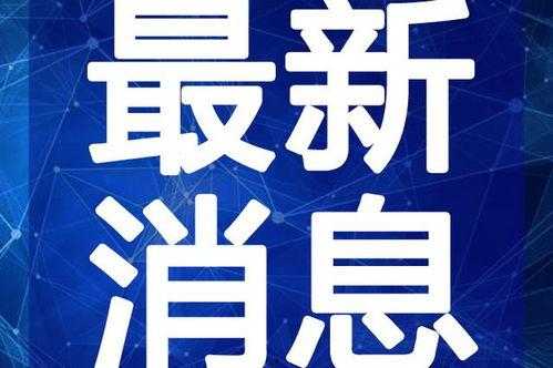 云南中药材最新爆料视频,揭秘神秘药草宝藏