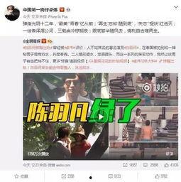 秦皇岛出轨爆料案件最新,真相与舆论的漩涡