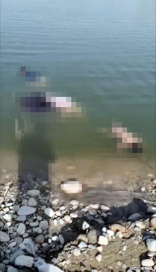 多人爆料溺亡事件视频,溺亡事件视频引发社会关注 第3张 多人爆料溺亡事件视频,溺亡事件视频引发社会关注 第3张