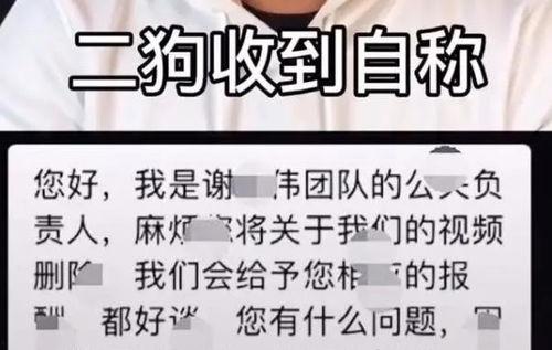 嘎子爆料网红视频,视频爆料背后的惊人真相  第3张 嘎子爆料网红视频,视频爆料背后的惊人真相  第3张