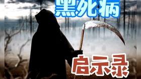 古董商黑鸦爆料视频大全,视频大全背后的珍稀古董故事  第3张 古董商黑鸦爆料视频大全,视频大全背后的珍稀古董故事  第3张