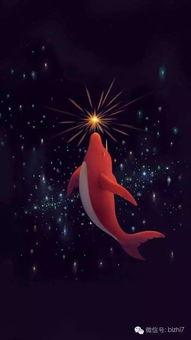 大鱼海棠高清在线观看免费版,探寻海洋深处的奇幻之旅  第3张 大鱼海棠高清在线观看免费版,探寻海洋深处的奇幻之旅  第3张