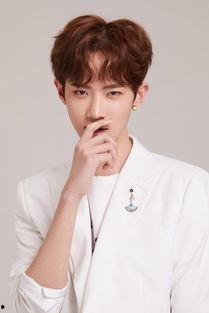 刘维黄新淳圈内人爆料了吗,揭秘娱乐圈不为人知的一面  第1张